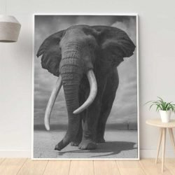 Leinwandbild Afrikanischer Elefant