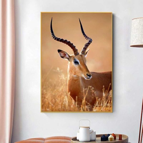 Leinwandbild Afrikanische Antilope