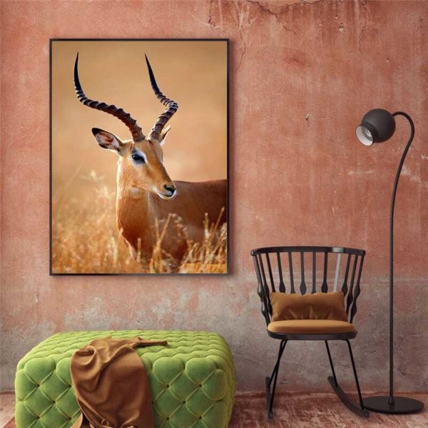 Leinwandbild Afrikanische Antilope