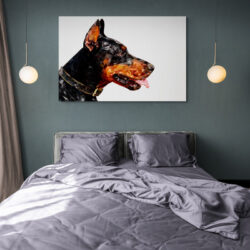 Leinwandbild Dobermann