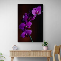 Leinwandbild Violette Orchidee